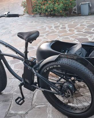 e-bike sidecar