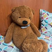 Teddy XXL 🧸