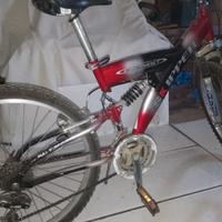 bicicletta da ragazzo