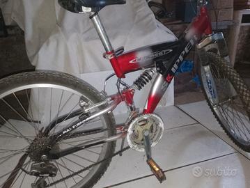 bicicletta da ragazzo