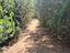 Immagine 14