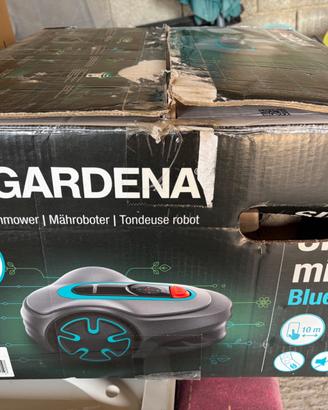 Giardino