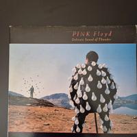 Pink Floyd delicate sound of thunder doppio albun