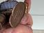 Immagine 5