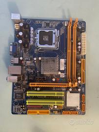 SCHEDA MADRE BIOSTAR G31-M7 TE