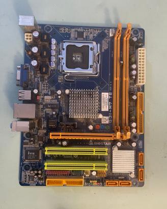SCHEDA MADRE BIOSTAR G31-M7 TE