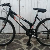 Mountain Bike 26 pollici