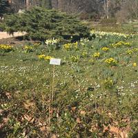 Signora italiana come operaia