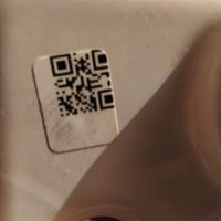 Termosifone radiatore