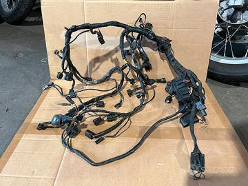 Impianto Elettrico Triumph Speed Triple 1050