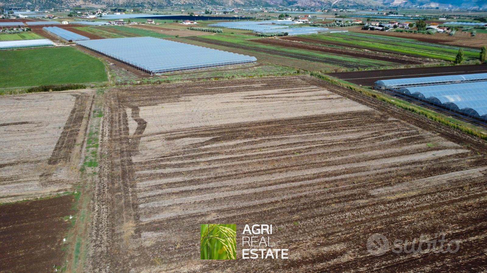 Terreno agricolo 7 HA fronte strada con magazzino - Vista 4