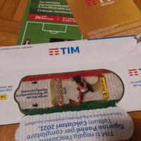 Figurina panini 2021 per Tim