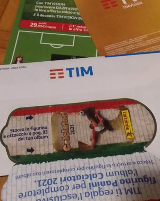 Figurina panini 2021 per Tim
