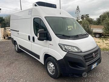 FIAT DUCATO 2.3 120cv CELLA FRIGO -20 GRANDI