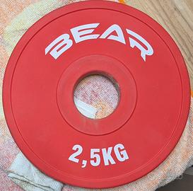 set 100kg Bumper piu bilanciere olimpionico