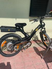Bici elettrica