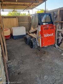 bobcat 