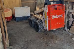 bobcat 