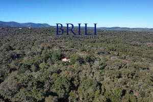 Sughereta nel Cuore della Gallura