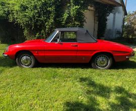 Alfa romeo spider 1600 Osso di seppia