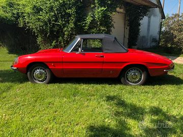Alfa romeo spider 1600 Osso di seppia