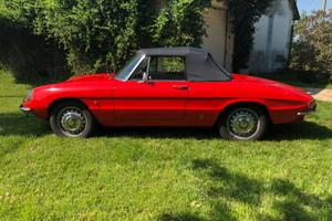 Alfa romeo spider 1600 Osso di seppia