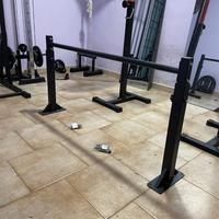 Sbarra per Trazioni da Soffitto Pro - Nuova