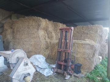 Balle XXL di Foraggio