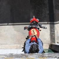 Speed triple Triumph t509