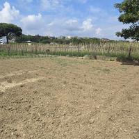 TERRENO RECINTATO PER PIAZZALE