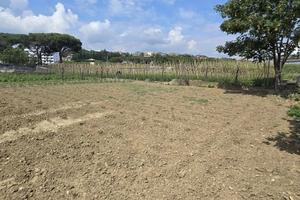 TERRENO RECINTATO PER PIAZZALE