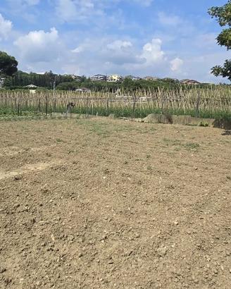TERRENO RECINTATO PER PIAZZALE
