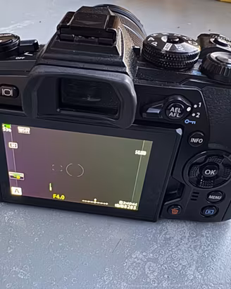 Olympus omd-em1 mark2