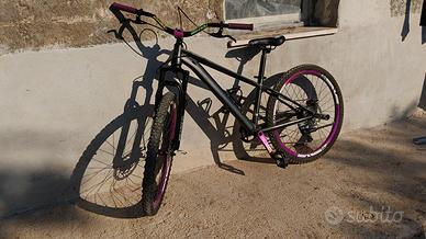 whellie bike