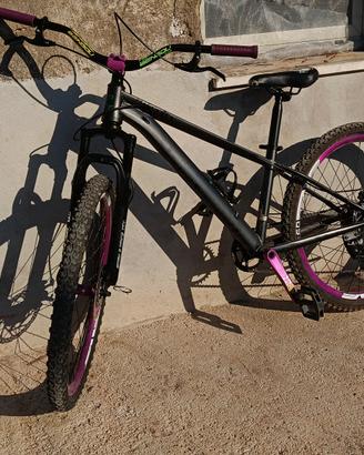 whellie bike