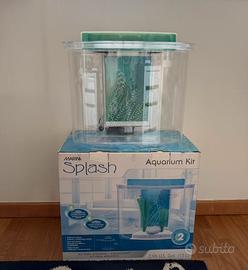 Acquario marina splash