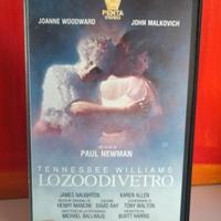 Lo zoo di vetro - Film in VHS 