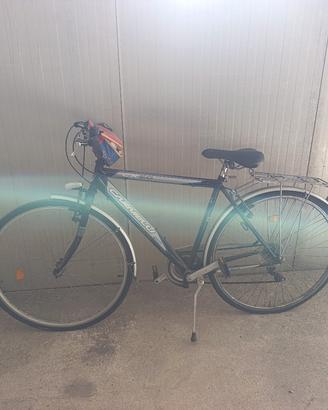 Bici carnielli 
