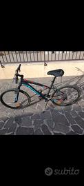 Mountain bike