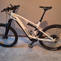 emtb radon render XL full