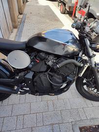 Honda Hornet cafè Racer 