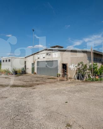 Capannone Industriale Este [Cod. rif 3253351VCG]