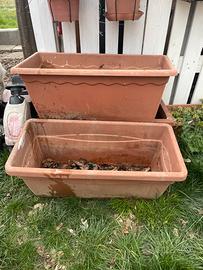 Regal0 3 vascone grandi