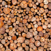 Legnasecca tagliata a regola d arte