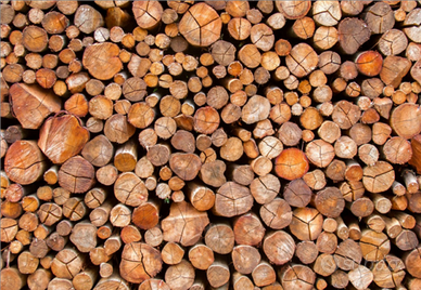 Legnasecca tagliata a regola d arte