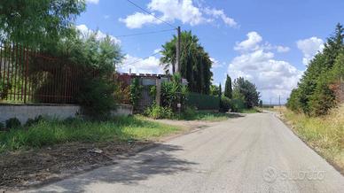 Terreno Agricolo San Severo [Cod. rif 3294216VCG]