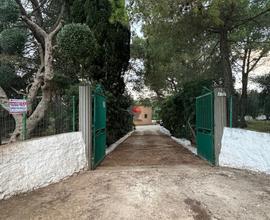 Villa o villino Martina Franca [LM2456VRG]
