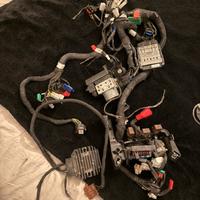 impianto elettrico duke 125 2022/2023/2024