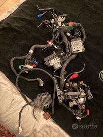 impianto elettrico duke 125 2022/2023/2024