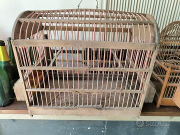 voliere x piccoli uccelli